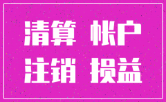 公司注销 投资额