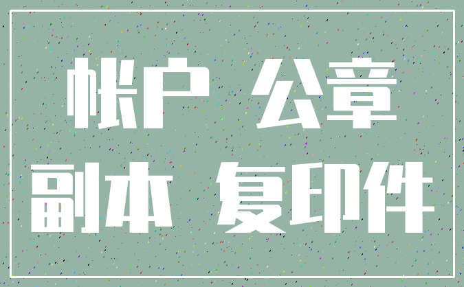 帐户 公章_副本 复印件