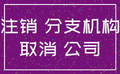 税务注销分公司条件