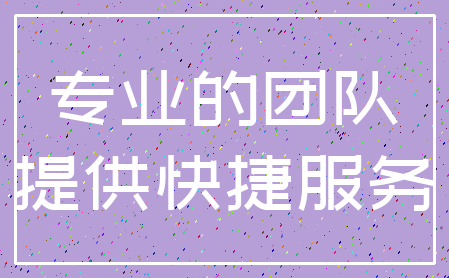 专业的团队_提供快捷服务