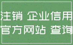 如何查询公司注销公示信息查询