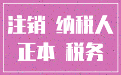 小规模公司注销登记流程