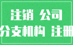 总公司是否可以强制注销分公司