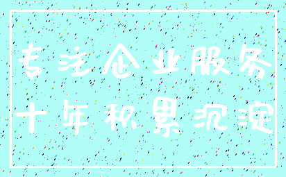 专注企业服务_十年积累沉淀