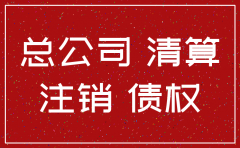 注销分公司债务说明书