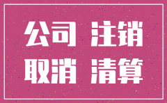 公司如何在网上快速注销登记