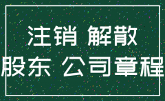 公司要注销股东纪要
