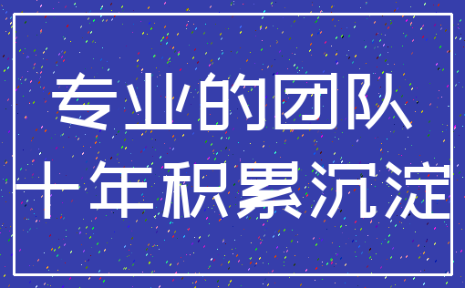 专业的团队_十年积累沉淀