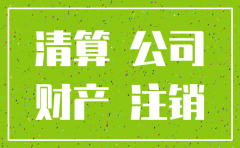 公司注销的清算表