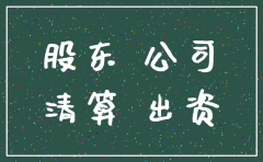 公司被注销告股东在哪起诉