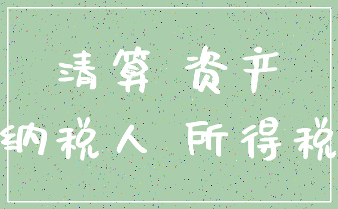清算 资产_纳税人 所得税
