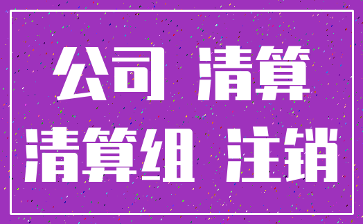 公司 清算_清算组 注销