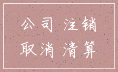 有限责任公司注销流程式