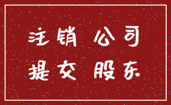 内资有限责任公司注销决定