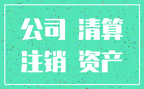公司 清算_注销 资产