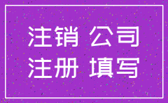 网上刚注册的公司可以注销吗