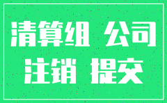 注销公司需要出些什么报告