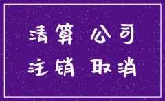 自动注销公司后法人再申请书