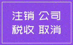 注销公司罚款怎么查