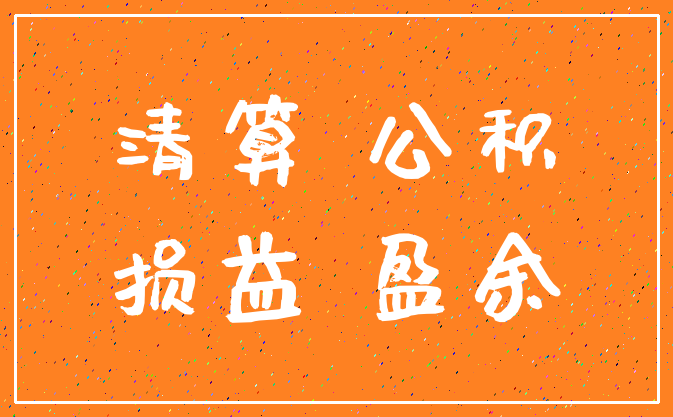 清算 公积_损益 盈余