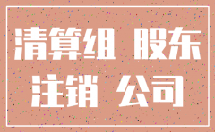注销公司清算组成员聘请书