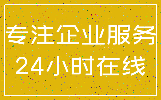 专注企业服务_24小时在线
