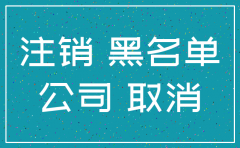 小微企业公司注销固定资产