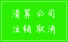 股份有限公司注销分公司流程图