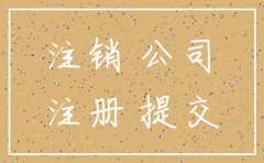 国有企业子公司注销的内控管理