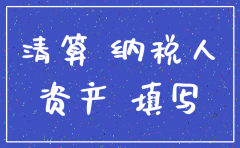 当期注销公司 利润表填写