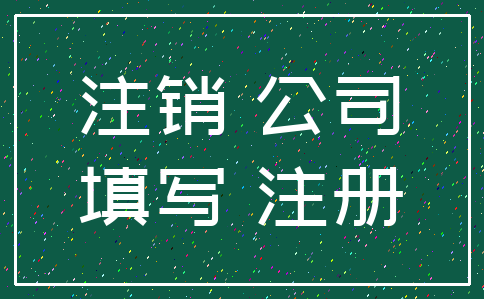 注销 公司_填写 注册