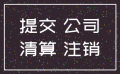分公司的注销委托书