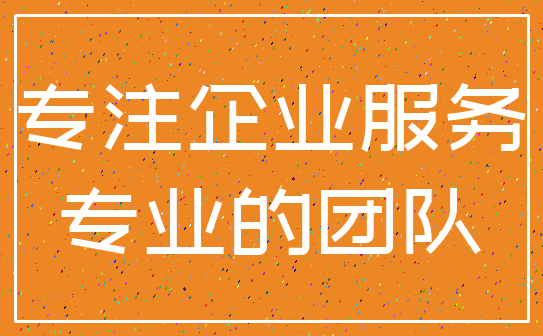 专注企业服务_专业的团队