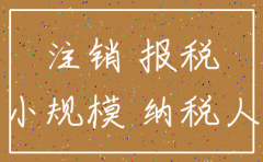 小规模公司不注销需要每月零报税吗