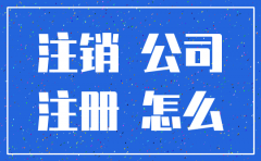 公司注册不久怎样注销