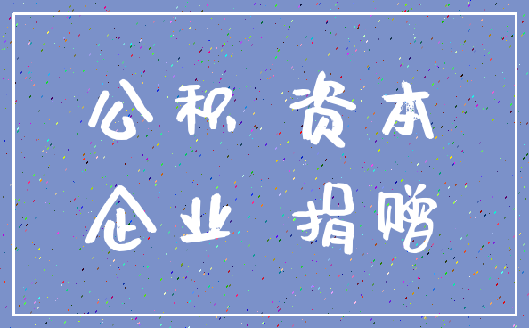公积 资本_企业 捐赠