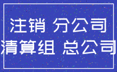 总公司给分公司出具注销通知