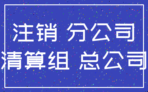 注销 分公司_清算组 总公司