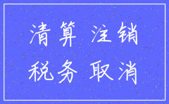 国税办公司注销清算报告