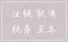 怎么查看公司税务是否注销