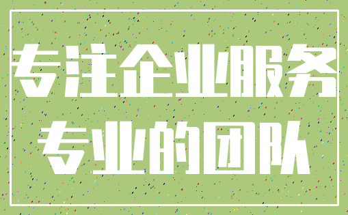 专注企业服务_专业的团队