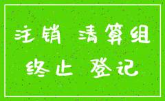 合肥注销公司的地址在哪里办理吗