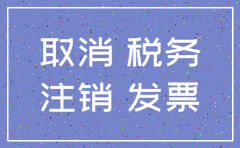 注销公司国税资料样本
