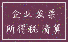 公司注销企业所得税清算报告