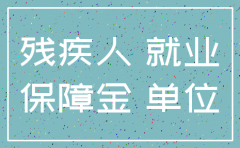 海南注销公司残疾人基金标准