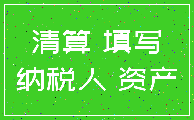 清算 填写_纳税人 资产