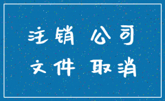 公司车辆注销申请书模板