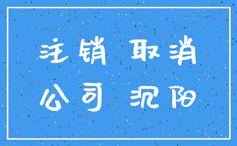 注销 取消_公司 沉阳