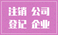 个人独资企业简易注销公司流程