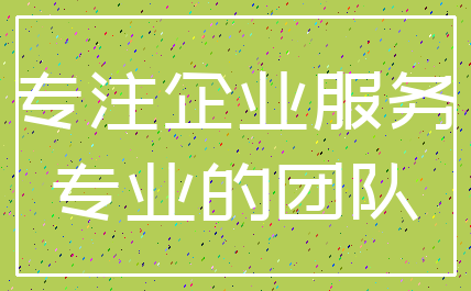 专注企业服务_专业的团队